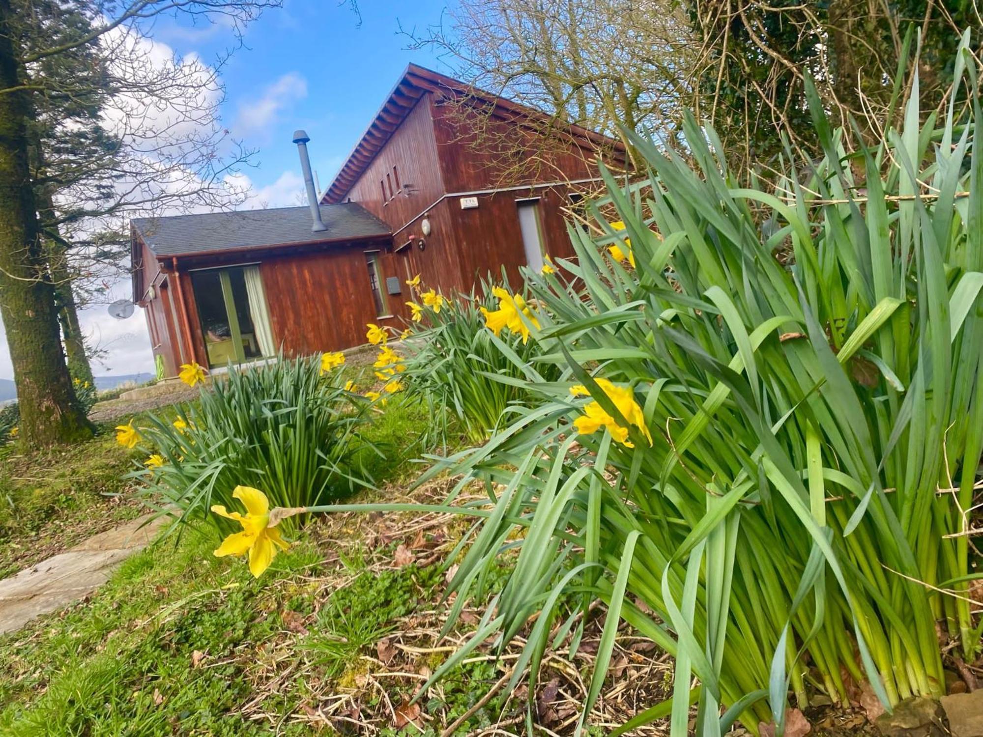 Ballyhoura Mountain Lodges Ballyorgan Екстериор снимка