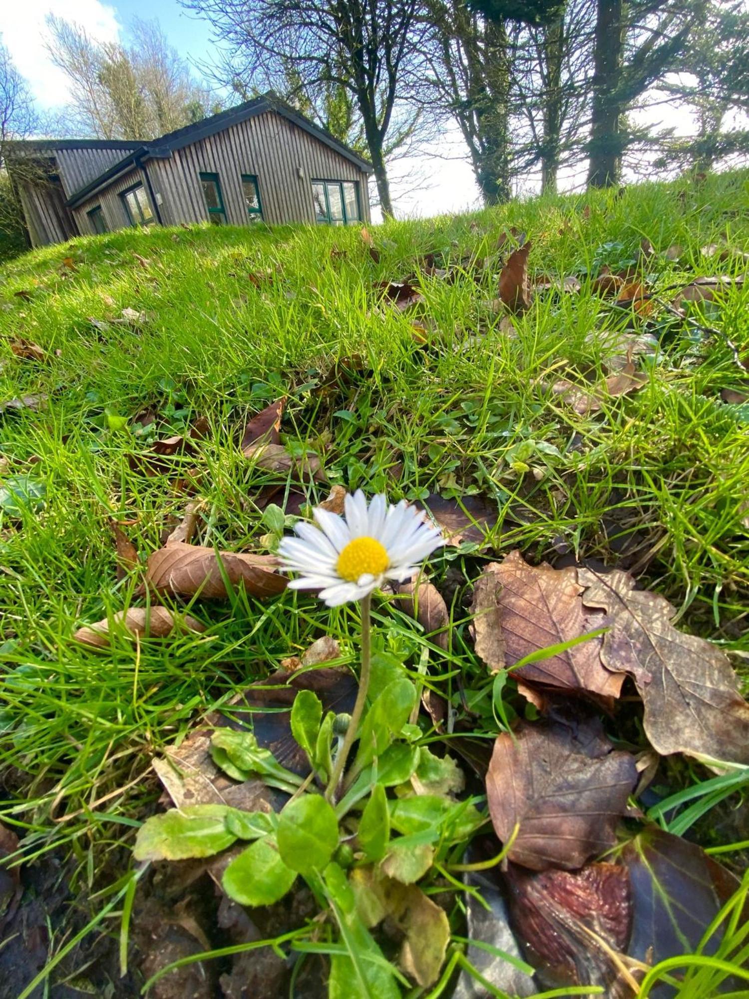 Ballyhoura Mountain Lodges Ballyorgan Екстериор снимка